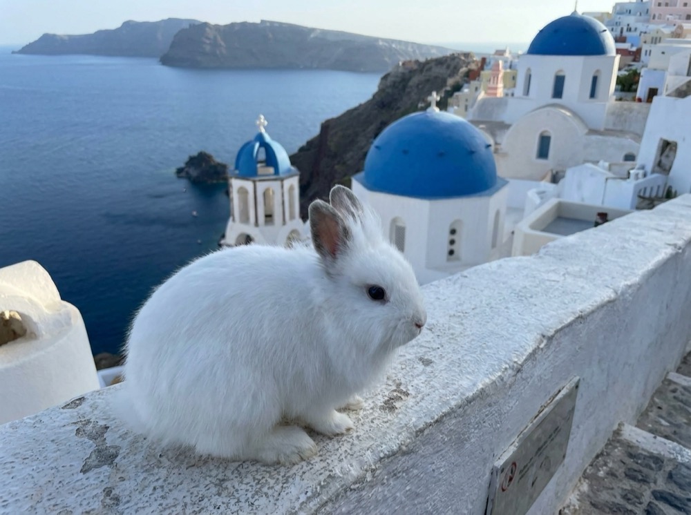 Morty at Santorini