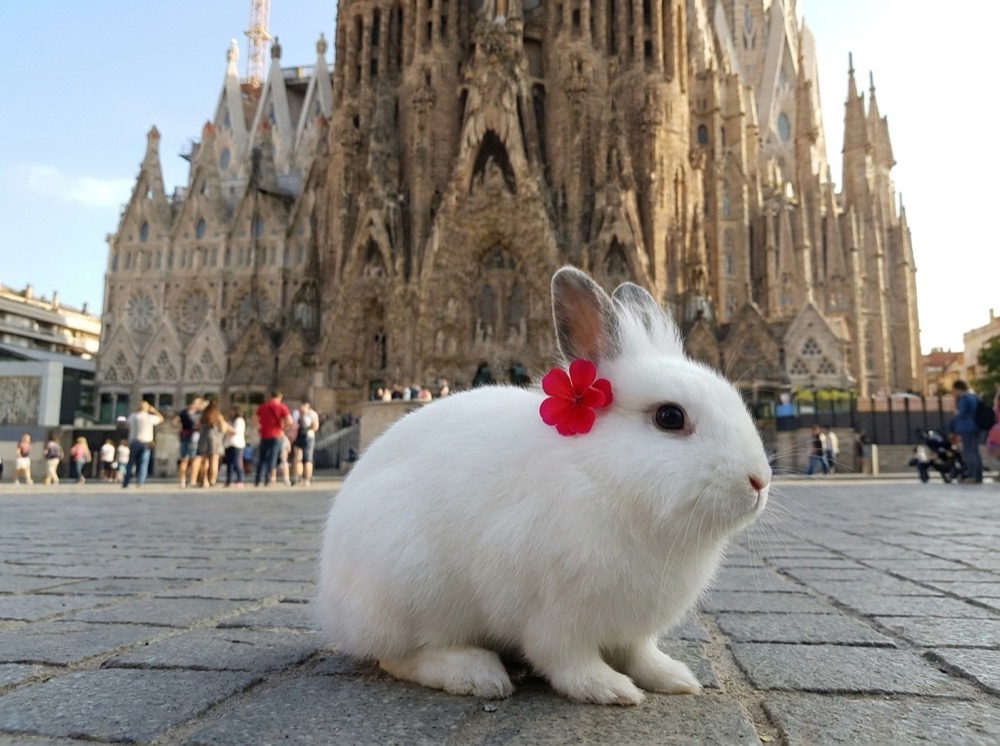 Morty at Sagrada Família, Barcelona