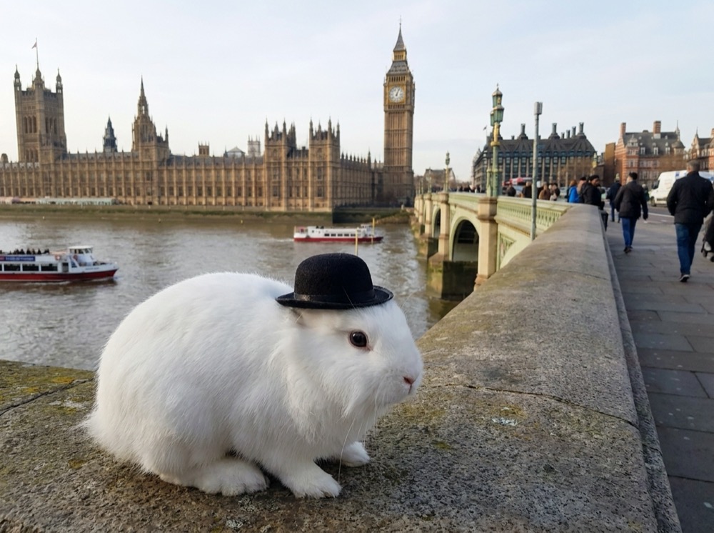 Morty at Big Ben, London