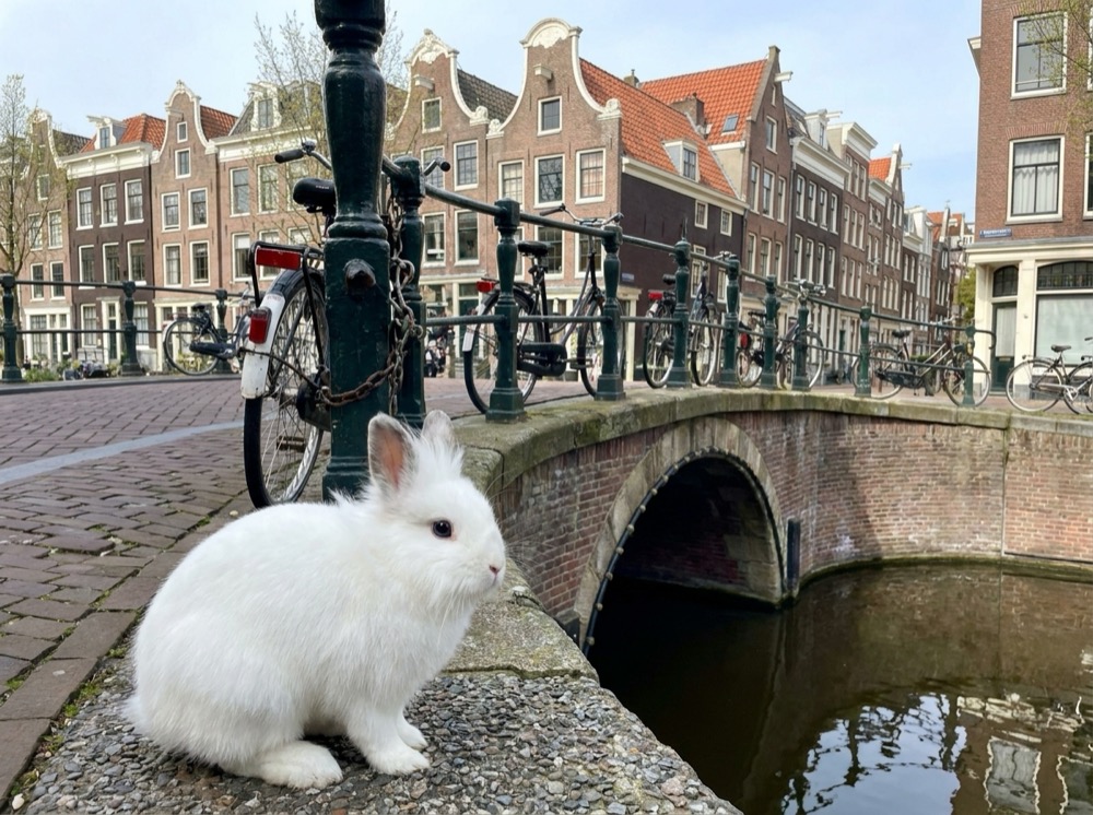 Morty at Amsterdam