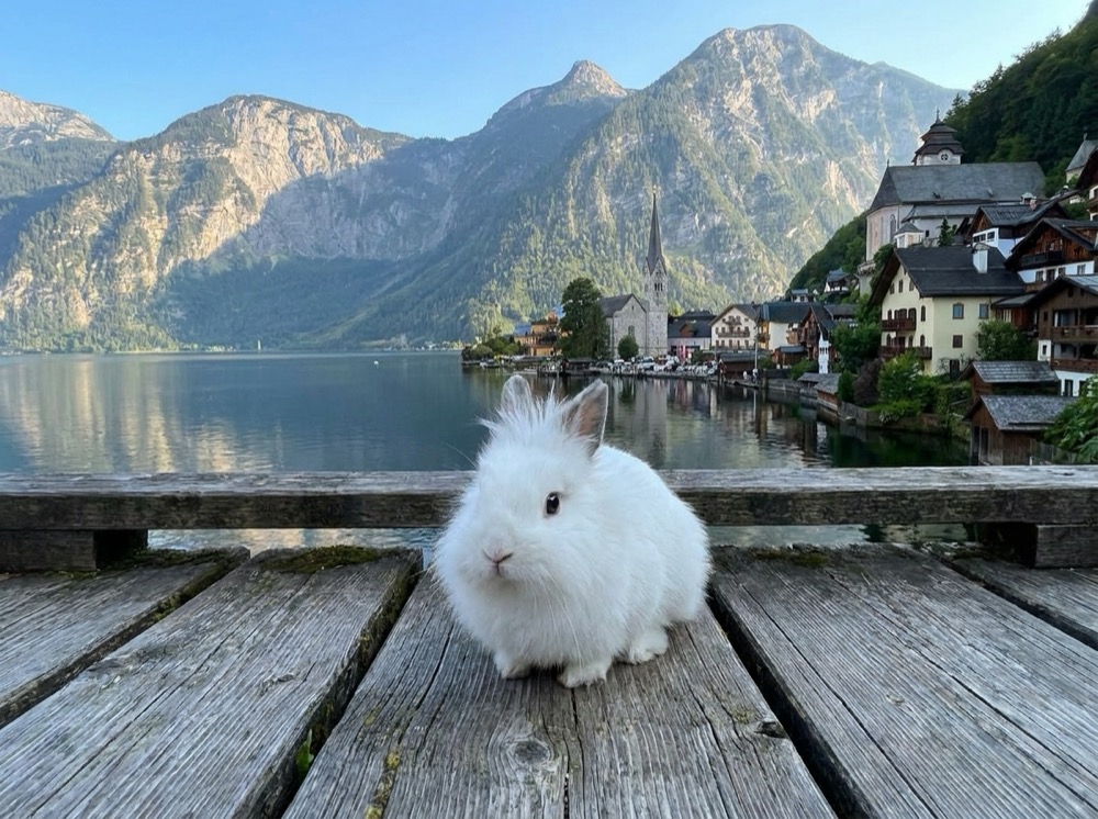 Morty at Hallstatt