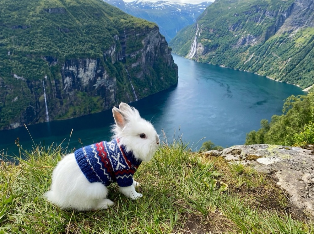 Morty at Geirangerfjord