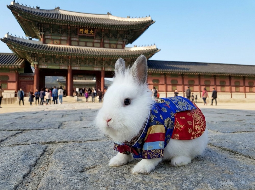 Morty at Gyeongbokgung Palace, Seoul