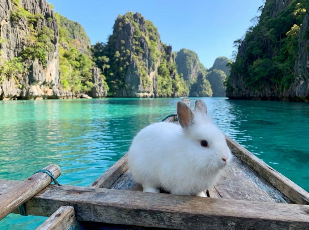 Morty at Palawan