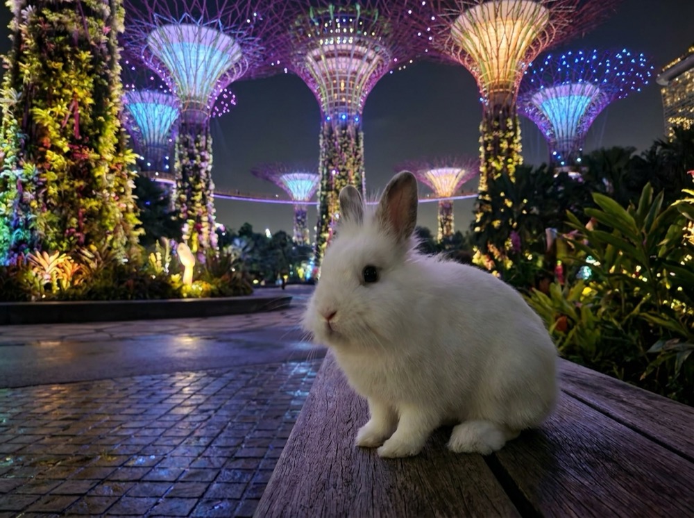 Morty at Gardens by the Bay, Singapore