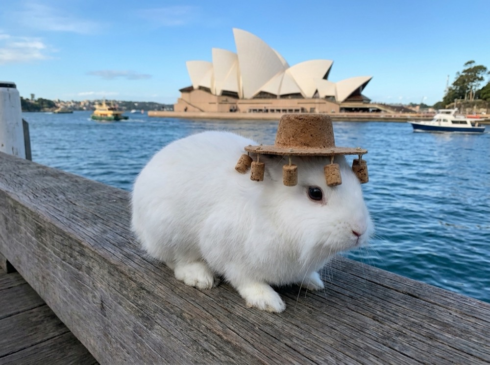 Morty at Sydney Opera House