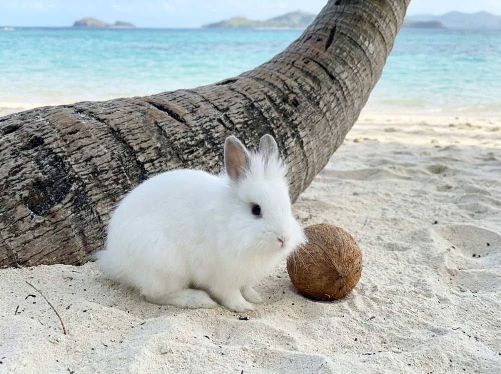 Morty at Fiji