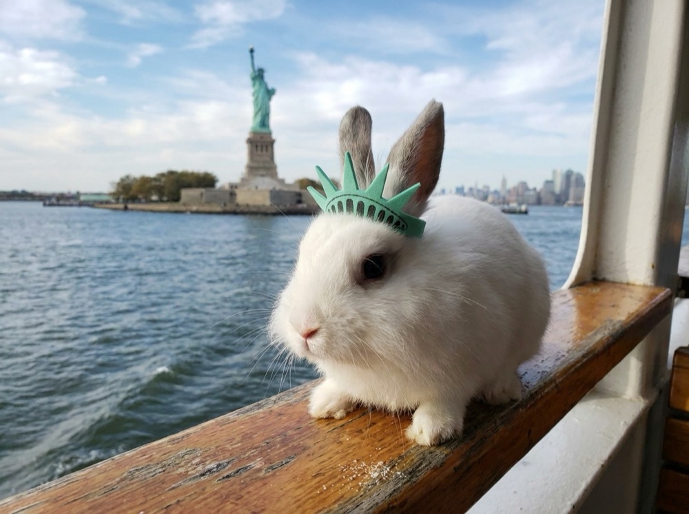 Morty at Statue of Liberty, NYC