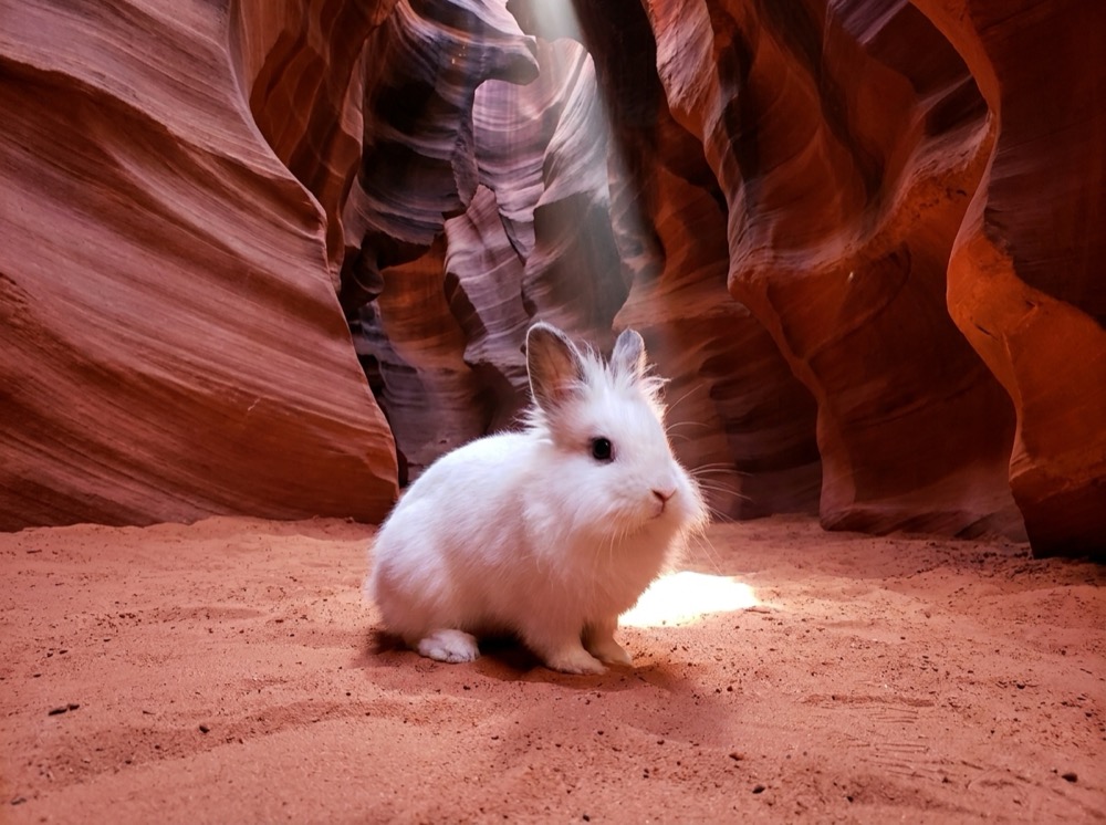Morty at Antelope Canyon