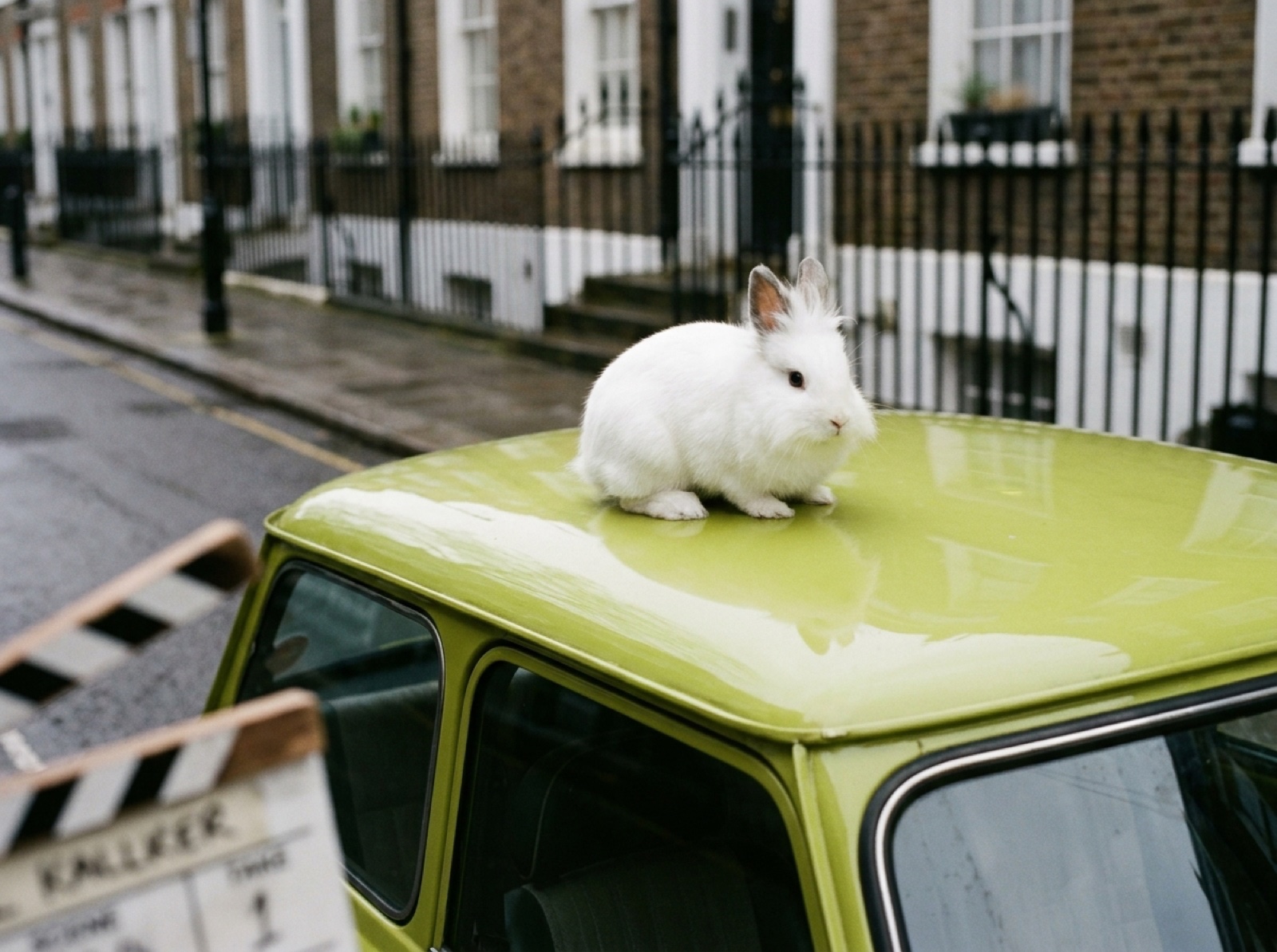 Morty at On Set — London