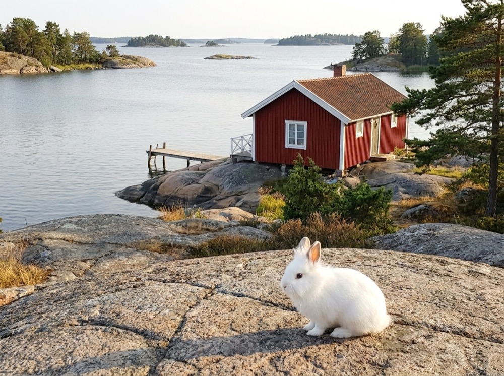 Morty at Stockholm Archipelago