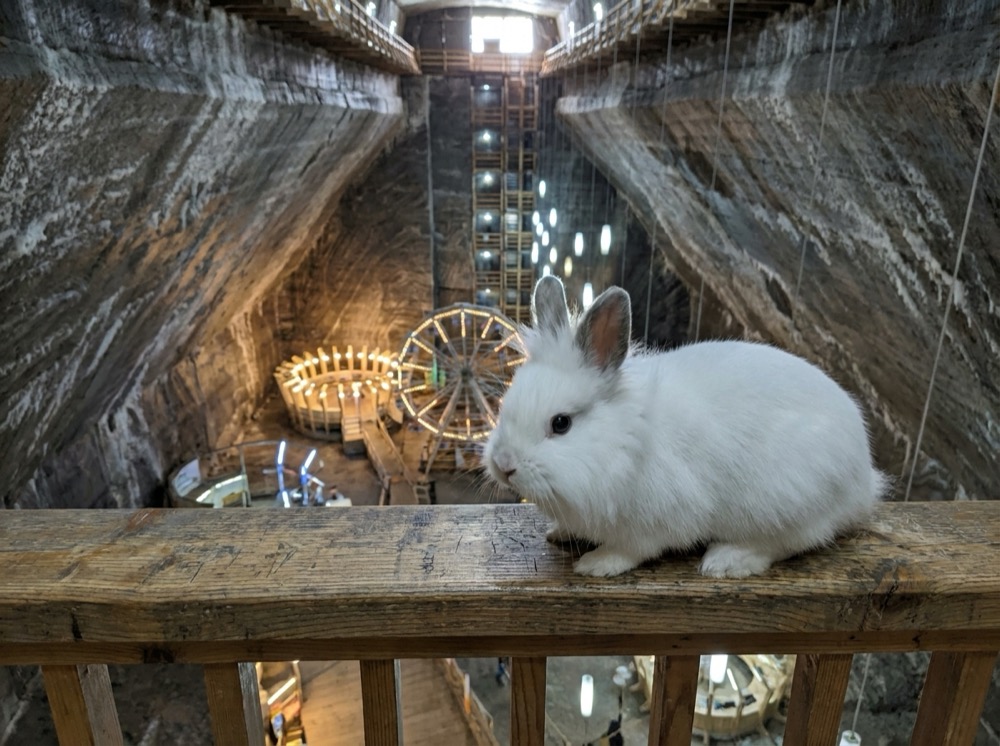 Morty at Salina Turda Salt Mine