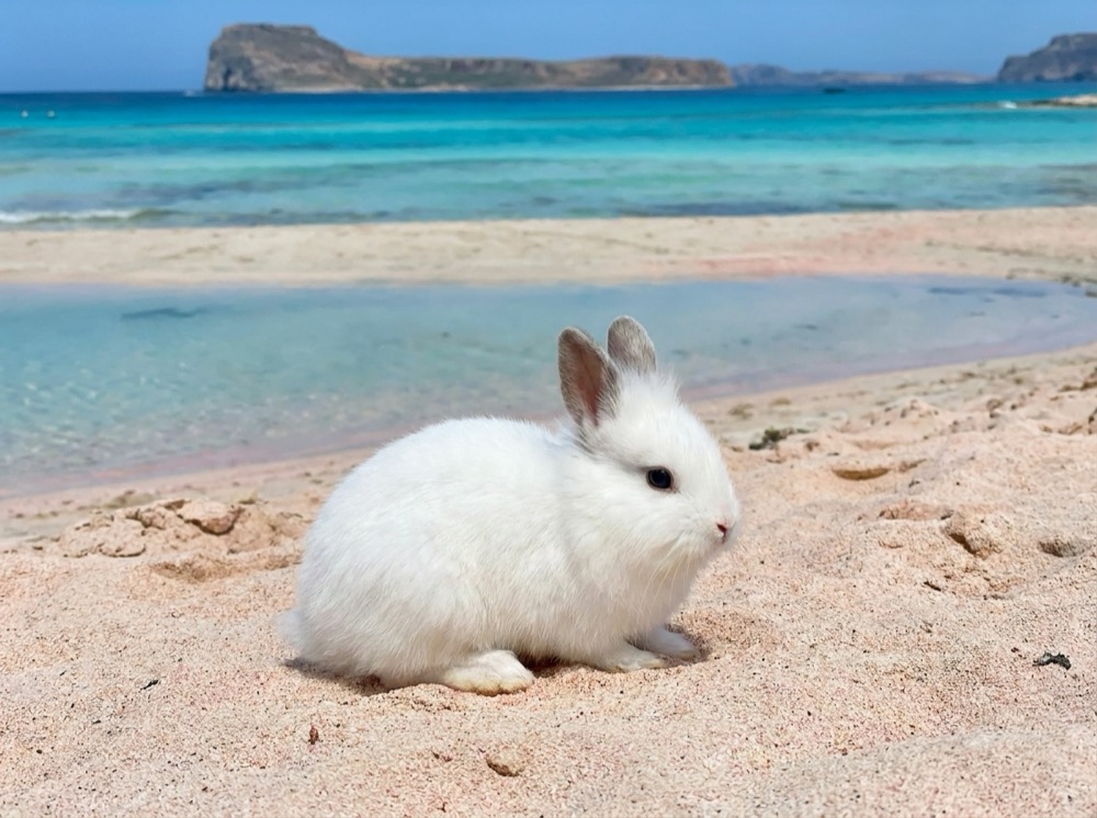 Morty at Balos Lagoon, Crete