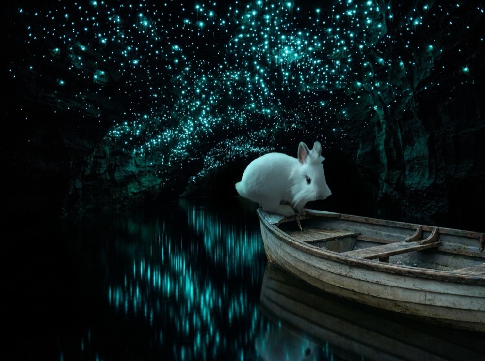 Morty at Waitomo Glowworm Caves