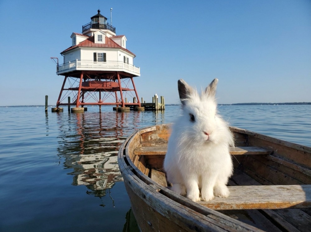 Morty at Thomas Point Shoal Light