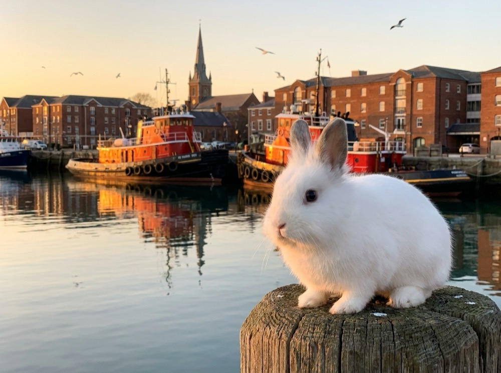 Morty at Portsmouth Harbor