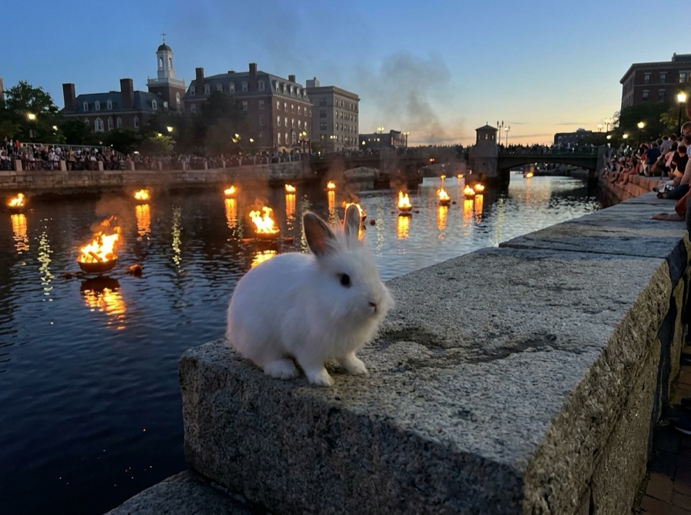 Morty at WaterFire, Providence